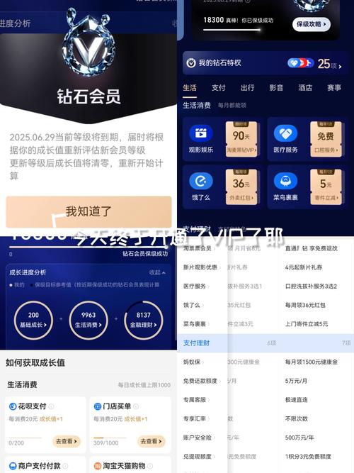 淘宝店铺会员怎么升级