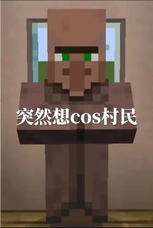 mc村民怎么变成农民