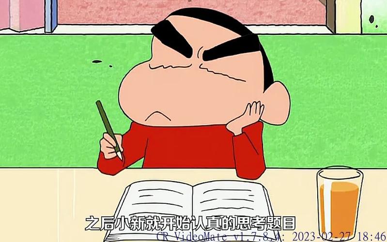 蜡笔小新小新上小学的视频