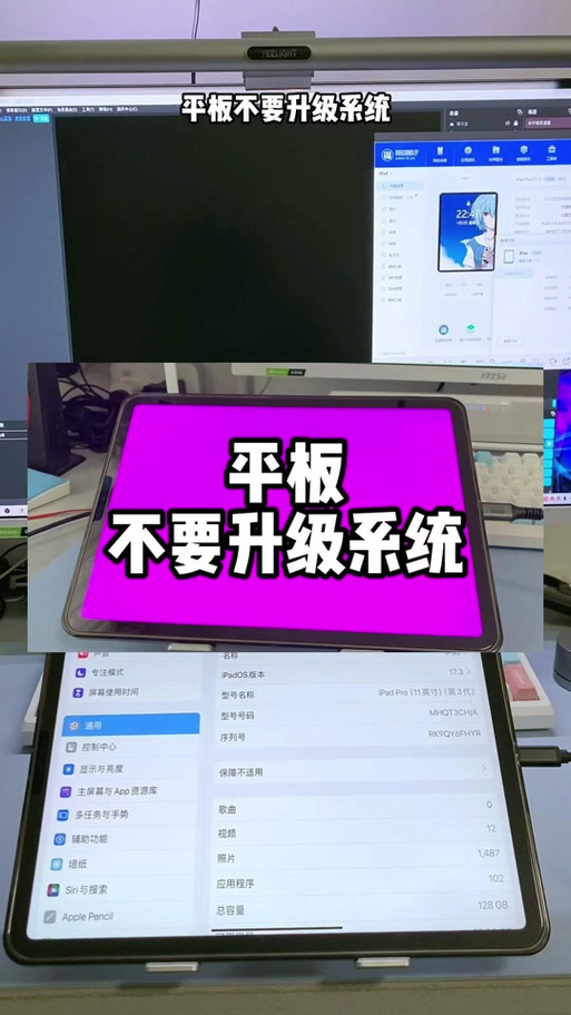 iPad为什么会闪退