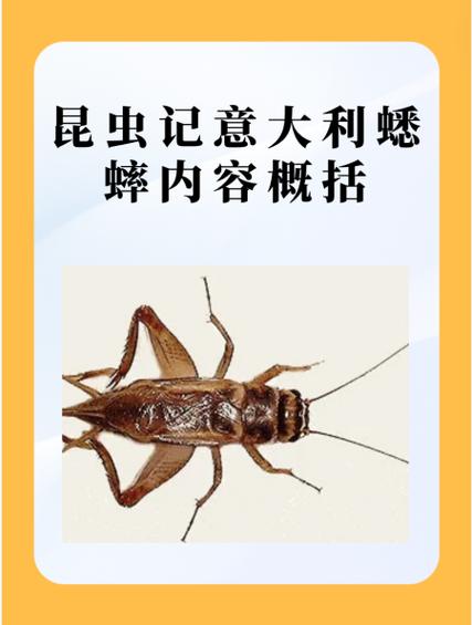 驱赶蟋蟀的方法