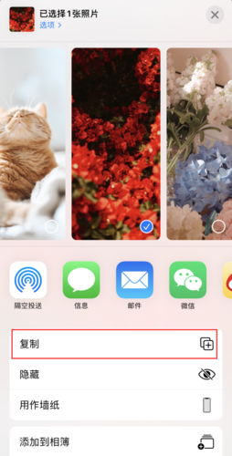 苹果手机照片编辑后怎么保留原图