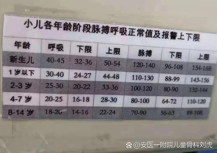 正常一分钟呼吸几次
