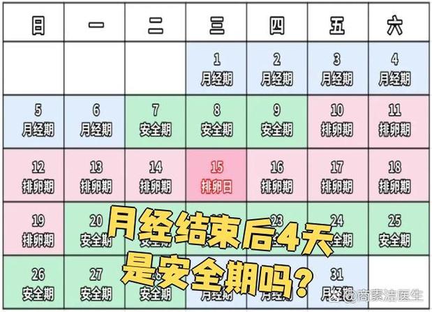 女性月经周期
