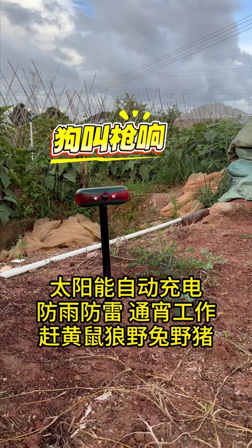 怎么驱赶野猪最有效