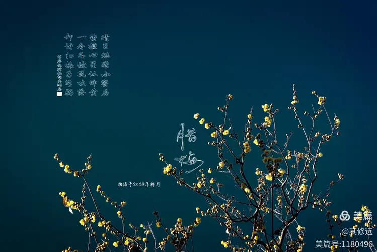 宫斗剧情游戏推荐