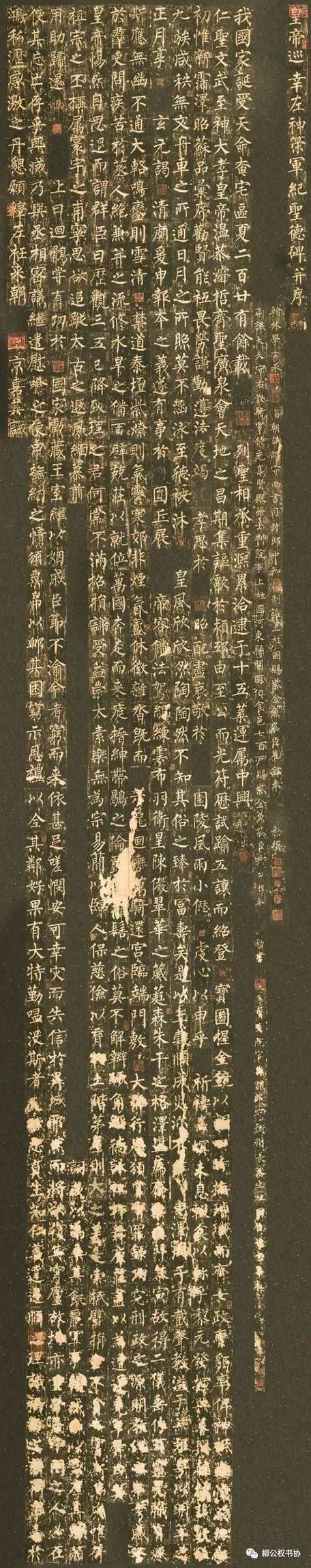 excel字显示不出来