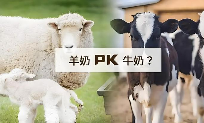 是羊奶粉好还是牛奶粉好