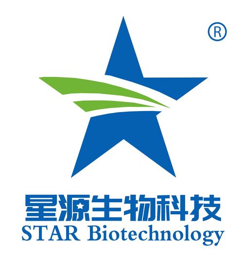 星源之主动漫免费观看