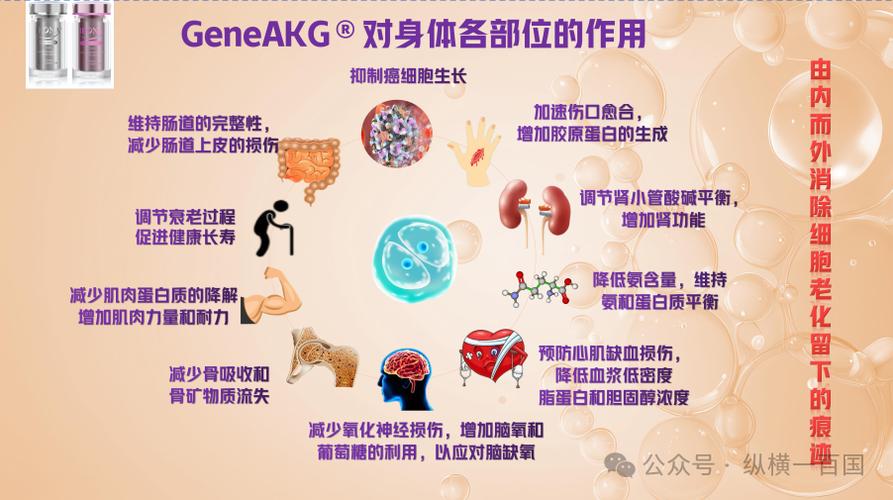 akg的功效和副作用