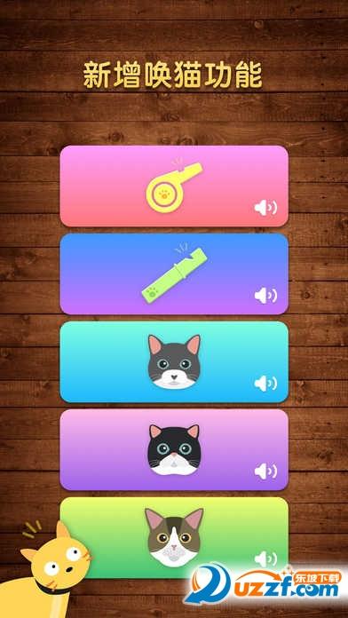 逗猫神器app