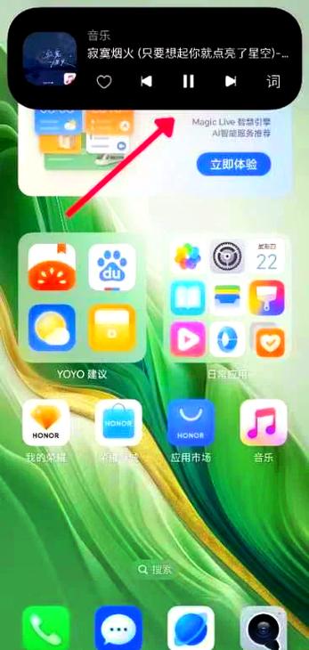 荣耀YOYO可以卸载吗