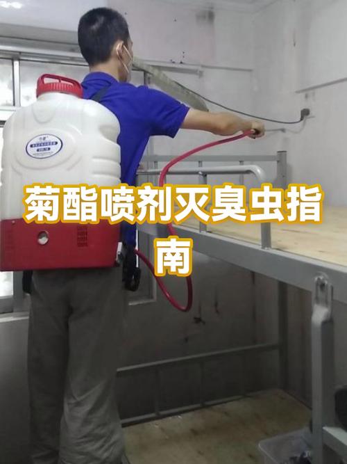 有臭虫的宿舍还能住吗
