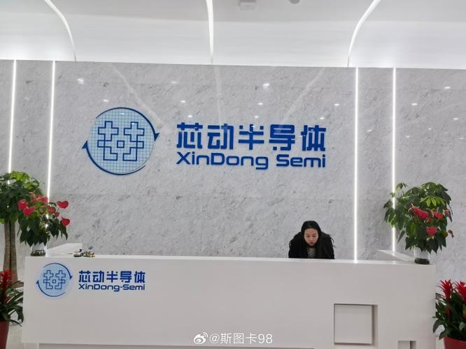 武汉芯动科技的员工情况