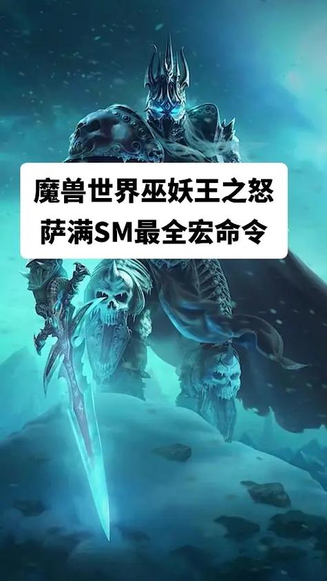 魔兽世界萨满宏
