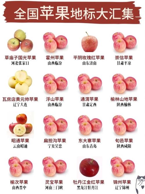 苹果手机换屏幕的注意事项