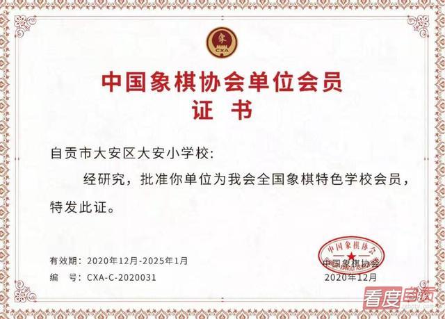 中国象棋协会等级证书查询