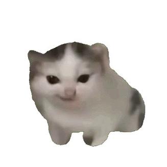 猫猫meme表情包