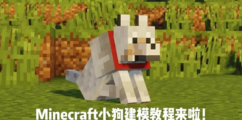 我的世界训练狗