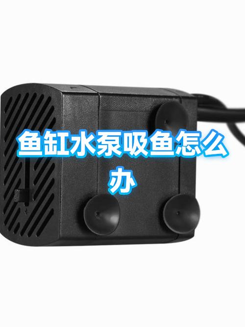 鱼缸吸水泵不吸水