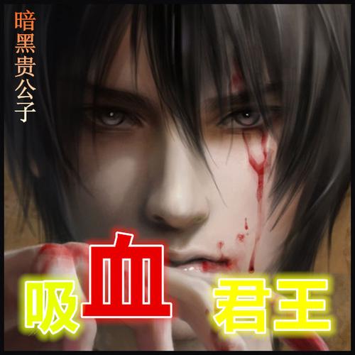 吸血君王 小说
