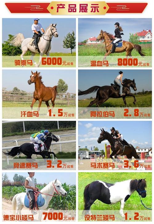 60级马多少钱