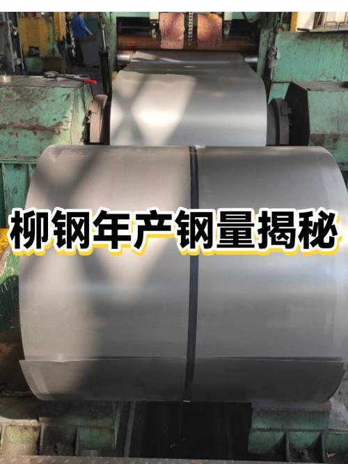 柳钢集团实际控股人是谁