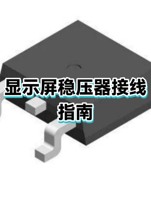 显示器是不是输出设备