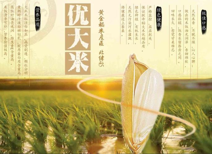 中国大米产业·手机