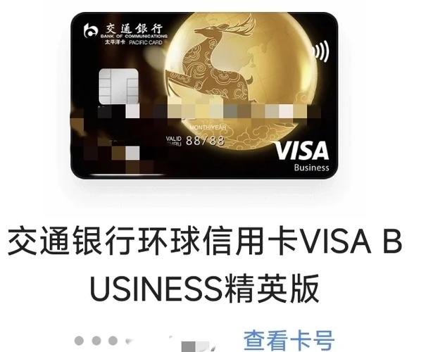 国内visa卡国外支付