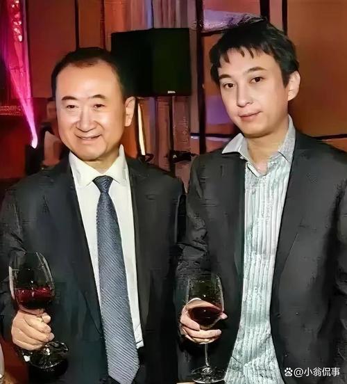 王健林的子孙是谁