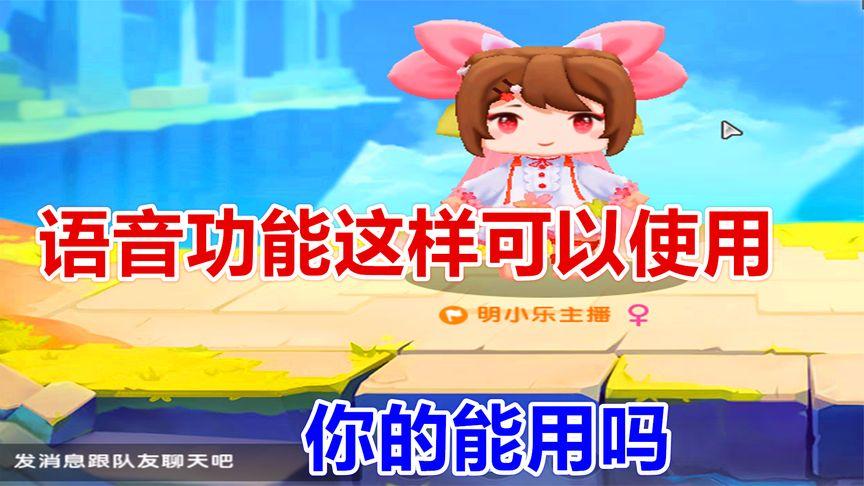 迷你世界没有语音标志