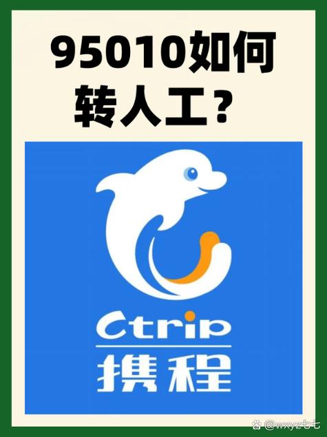 95010携程退款