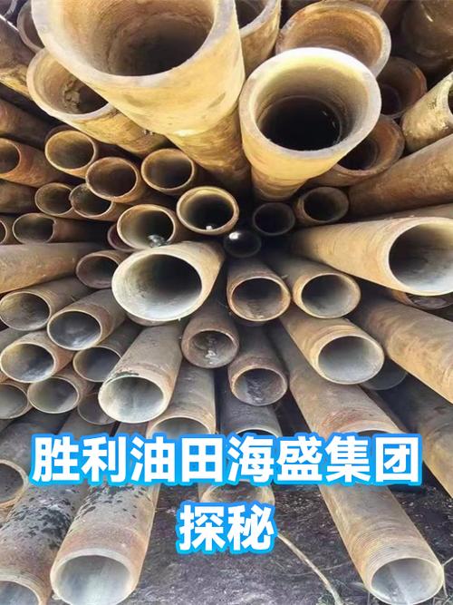 胜利油田海盛集团有限公司