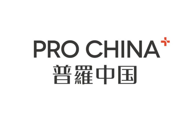 普罗中国集团
