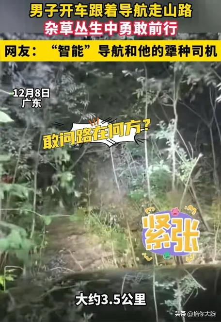 缺德导航搞笑语音包