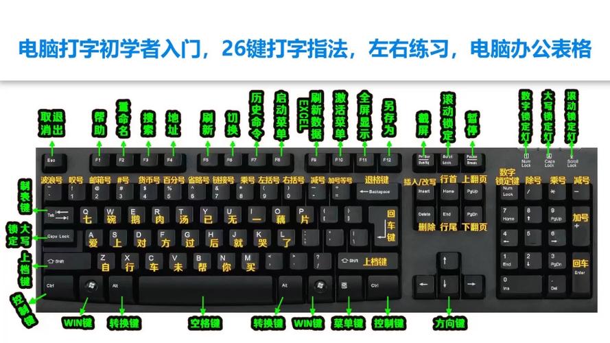 学打字零基础入门