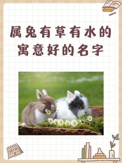 属兔的吉祥旺财网名