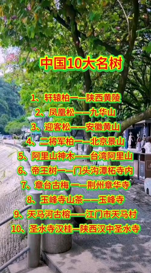中国十大名树