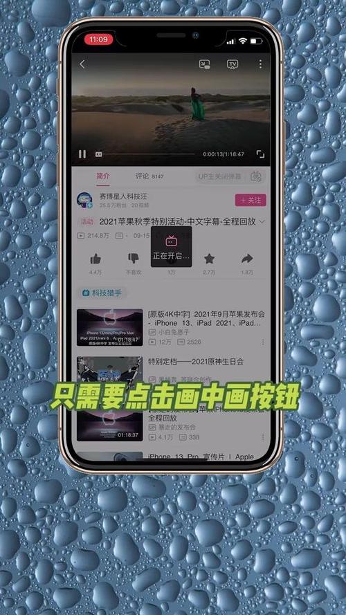 苹果可以边看视频边录像吗