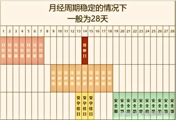 月经周期多少天正常