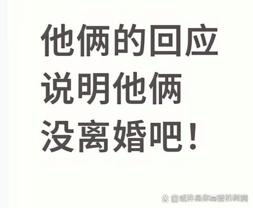 给老子离婚小说