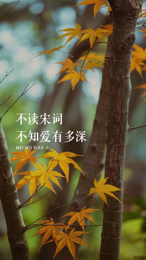 爱的诗歌 赞美诗