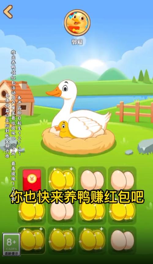 养鸭赚钱