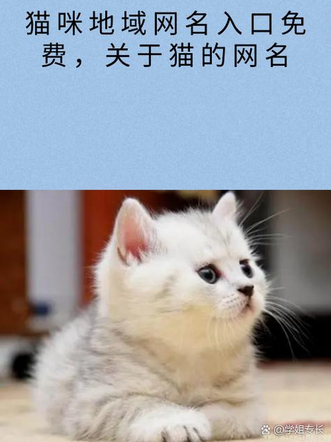 猫咪段子2021最新版