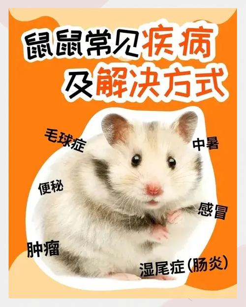 仓鼠多久喂一次水