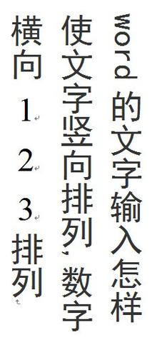 怎么让word竖排文字里的数字横着