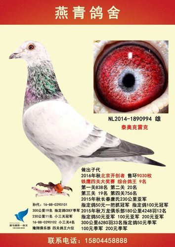 泰迦奥特曼和泰罗奥特曼