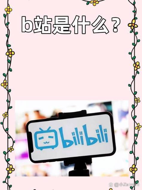 b站是什么意思啊