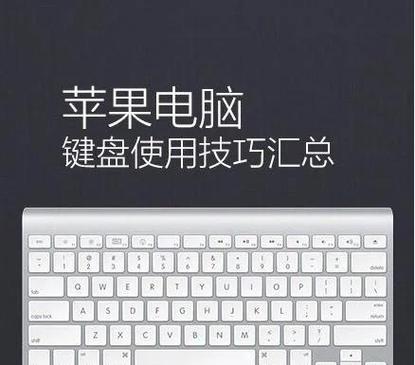为什么苹果手机键盘打不出字